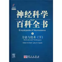 音像方与技(下)()(美)斯奎尔 主编