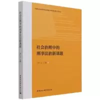 音像社会治理中的刑事法治新课题刘仁文主编