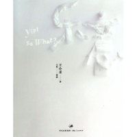 音像乐意王小柔|绘画:王原