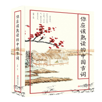 音像你应该熟读的中国古词思履 著
