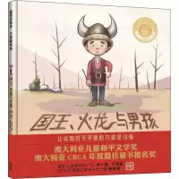 音像国王、火龙与男孩(澳)菲尔·卡明斯(Phil Cummings)