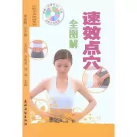 音像速效点全解王启芳 等 主编 著