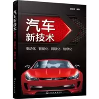 音像汽车新技术(电动化智能化网联化信息化)崔胜民