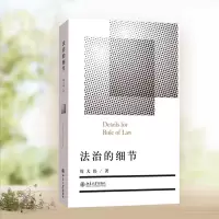 音像法治的细节周大伟