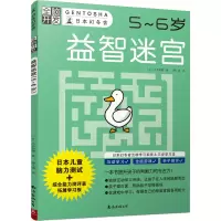 音像益智迷宫(5-6岁)/全脑开发(日)大井恒晴著