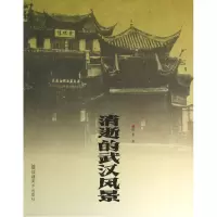 音像消逝的武汉风景/消逝的风景丛书徐鲁