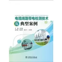音像电缆线路带电检测技术及典型案例孟令闻主编
