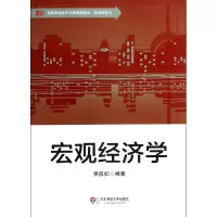 音像宏观经济学(高等学校经济与管理类教材)/基础课系列吴信如