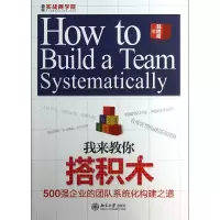 音像我来教你搭积木(500强企业的团队系统化构建之道)韩增海