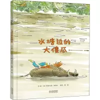 音像水塘边的大傻瓜(法)斯特凡纳·昂利什(Stephane Henrich)