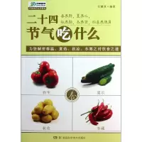 音像二十四节气吃什么/39健康网系列图书王健淇