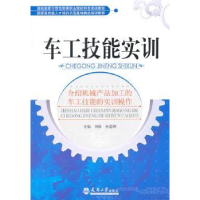 音像车工技能实训刘海,孙思炯主编