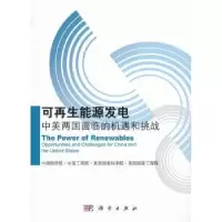 音像可能源发电:中美两国面临的机遇和挑战[等编]