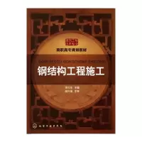 音像钢结构工程施工(李社生)李杜生 主编