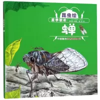 音像夏季歌者:蝉(精装)/昆虫绘付赛男