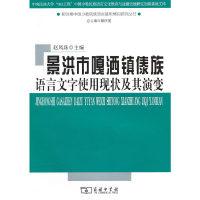 音像景洪市嘎洒镇傣族语言文字使用现状及其演变赵凤珠 主编