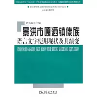 音像景洪市嘎洒镇傣族语言文字使用现状及其演变赵凤珠 主编