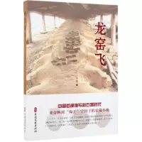 音像龙窑飞江华明 著