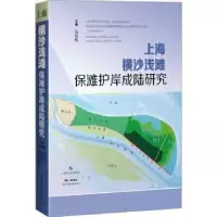 音像上海横沙浅滩保滩护岸成陆研究(精)包起帆
