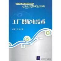 音像工厂供配电技术杨兴编著