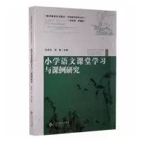 音像小学语文课堂学习与课例研究杨增宏,周鹏主编