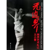 音像边(王小慧跨界艺术札记)王小慧