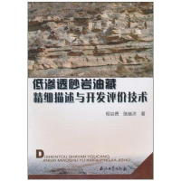 音像低渗透砂岩油藏精细描述与开发评价技术程启贵 陈恭洋