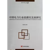 音像中国电力行业低碳化发展研究/青年学者文库赵洱岽