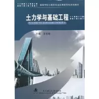 音像土力学与基础工程王有凯 主编