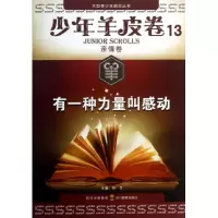 音像有一种力量叫感动/少年羊皮卷/大型少励志林夕