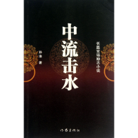 音像中流击水(长篇官场励志小说)孙浩