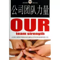 音像公司团队力量王鹏华