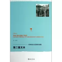 音像第二重文本(中国电影文化修辞论稿)/光影论丛王一川