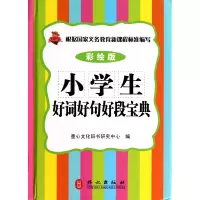 音像小学生好词好句好段宝典(彩绘版)(精)童心文化辞书研究中心