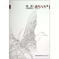 音像禽鸟写生(2)/唯美白描精选绘画:罗玉鑫