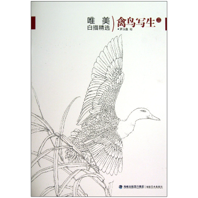 音像禽鸟写生(2)/唯美白描精选绘画:罗玉鑫
