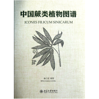 音像中国蕨类植物图谱(精)秦仁昌