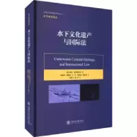音像水下文化遗产与国际法(英)莎拉·德罗姆古尔