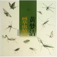 音像黄梦洁画草虫精选绘画:黄梦洁