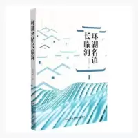 音像环湖名镇长临河张靖华著