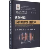 音像焦化过程节能减排技术汪琦[等]著