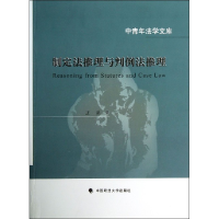 音像制定法推理与判例法推理/中青年法学文库王洪