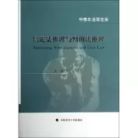 音像制定法推理与判例法推理/中青年法学文库王洪