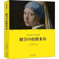 音像细节中的维米尔:::(美)加里·施瓦茨