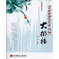 音像Windows CE大排档莫雨