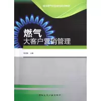 音像燃气大客户营销管理(城市燃气行业岗位培训教材)肖淑衡
