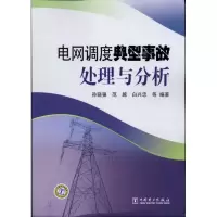 音像电网调度典型事故处理与分析孙骁强 范越 白兴忠 等 编著