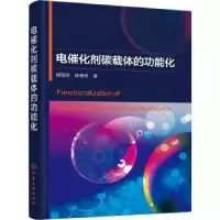 音像电催化剂碳载体的功能化杨丽丽,陈维民