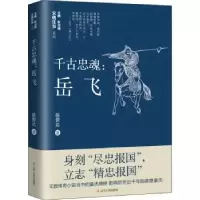 音像千古忠魂--岳飞/宋朝往事系列陈俊达