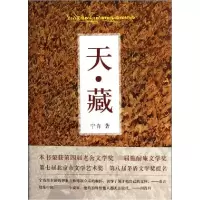 音像天藏宁肯